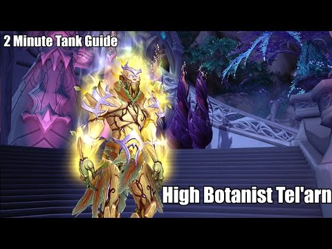 2 Minute Tank Guide - High Botanist Tel'arn LFR/Normal/Heroic