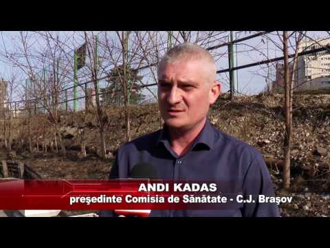 Brasov TV - Decizii CRUCIALE pentru COPIII din orfelinatele din BRAȘOV (VIDEO)