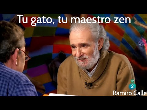 Your cat, your Zen master.