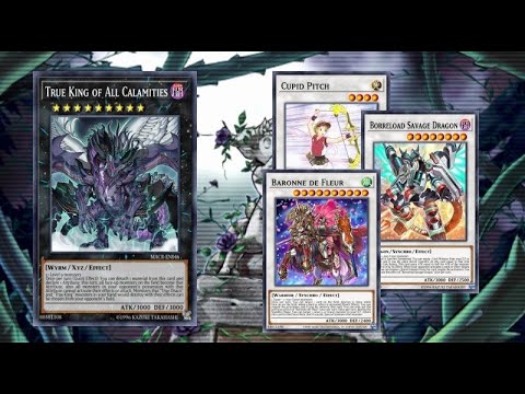 Master Duel # Best 1 Card Combos Halqifibrax With Cupid Pitch