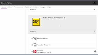 Student Preview Mode in Blackboard Ultra