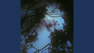 Download lagu Torn Apart mp3 Download lagu Torn Apart mp3