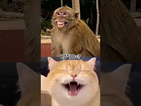 Please share with your friends #pov #tools #sketch #funny #acting #story