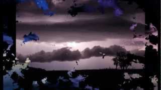 Julee Cruise   Into The Night