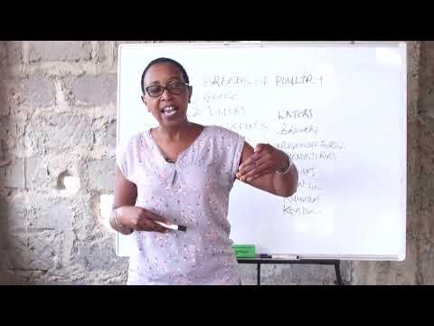 Poultry Nutrition Lesson 1 Introduction To Poultry Nutrition