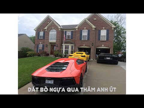 Hành Trình Phiền Những Người Bạn Tập 2A: Anh Em Dẫn Bò Với Ngựa Đi Thăm Anh Út Điền (Phần 1)