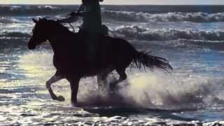 ANDRE RIEU - BOLERO - with DREAM HORSES