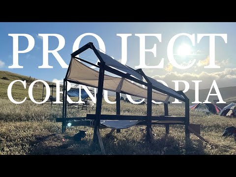 Cal Poly SLO || Design Village Spring 2022: Project Cornucopia