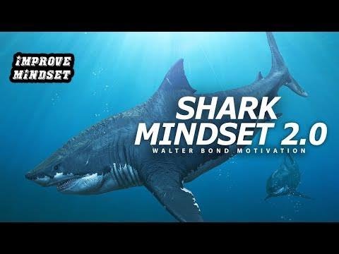 SHARK MINDSET - PART 2   One of the Best Speeches Ever by Walter Bond