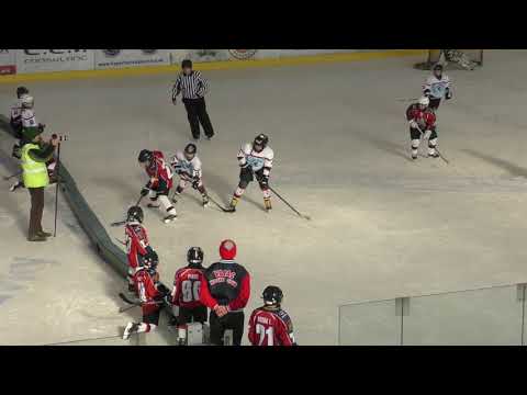 EMHL U9 Vasas - HOBA SHARKS