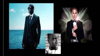 Pitbull - Everybody Fucks feat. Akon &amp; David Rush