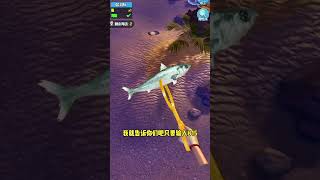 #赶海王 #休闲游戏#手机游戏 #游戏 #游戏解说 #小游戏