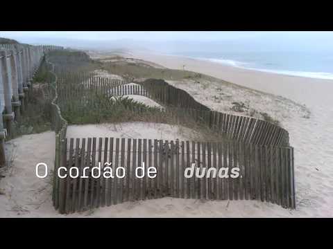 Comemorações dos 60 anos da ROM