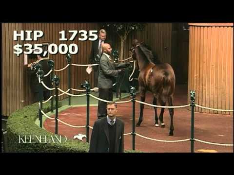 Thunder Moccasin- Hip1735