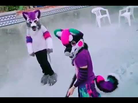 What the hell, there's furries in the pool