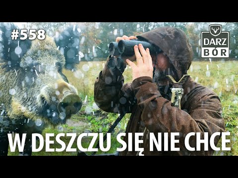 Darz Bór odc 558 Deszczowe pytania i odpowiedzi na ambonie.