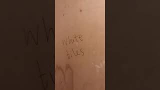 Album cover: Videos (bathrooms)