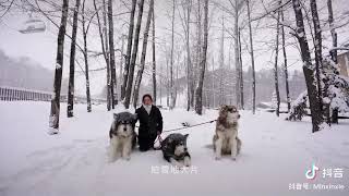 Re: [問卦] 台灣旅遊有贏中國的地方嗎？