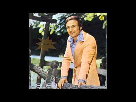Saban Saulic - Ah meraka u veceri rane - (Audio 1976) HD