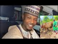 Biri Ade Alhaji Diya 2025 Lyrics