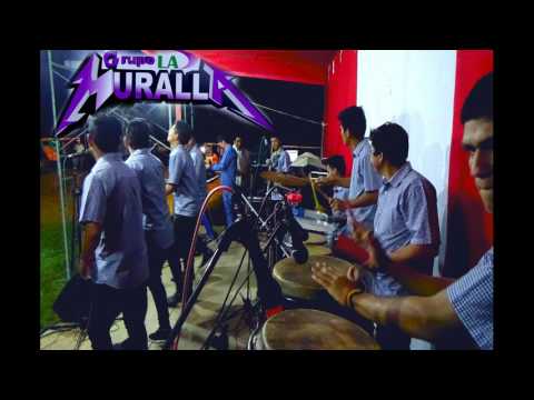 GRUPO LA MURALLA - AVE DE PASO MARZO 2017 (HERMAN CHAVEZ)