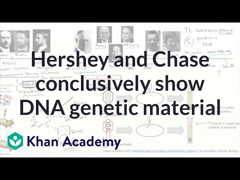 molecular biology khan academy molecular biology khan academy