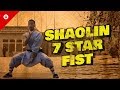 Shaolin 7 Star Fist  七星拳 [Qīxīng Quán] | OLDEST Shaolin Kung Fu Form | Wushu Training