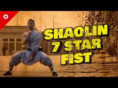Shaolin 7 Star Fist  七星拳 [Qīxīng Quán] | OLDEST Shaolin Kung Fu Form | Wushu Training