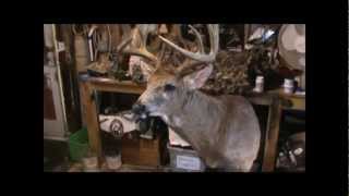 preview picture of video 'MARTYS SPORTING GOODS HUGE 2011 OHIO BOW BUCK'