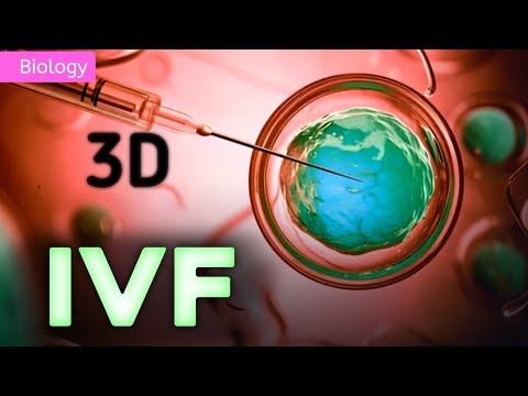 IN VITRO FERTILIZATION Class 12 Step by Step || 3D ANIMATION || @PW-NEETWallah