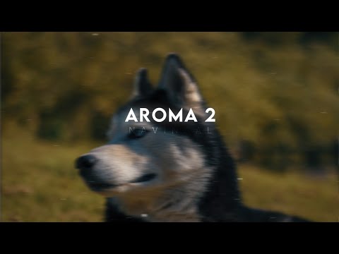 Aroma 2 - Baaghi - Perfectly Slowed