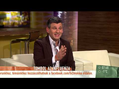 Mikor lesz már vége az influenzajárványnak? - 2015.02.17. - tv2.hu/mokka