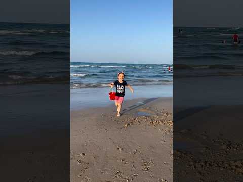 El cangrejo 🦀 en Playa Miramar #shortsfeed #cangrejo #playa #larin