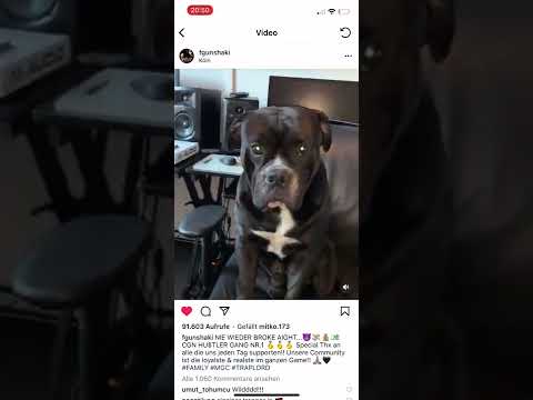 Krasse Hörprobe von Fgun shaki