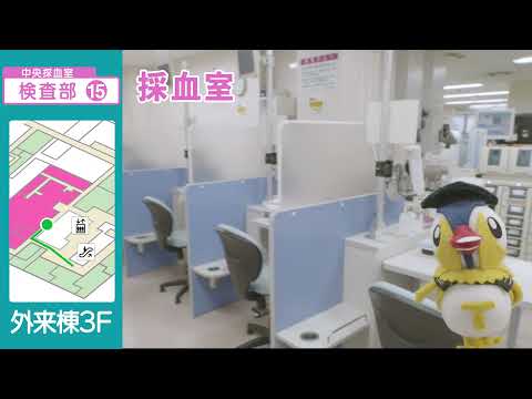 医学科 鳥取大学医学部附属病院　とりりんとGO　「検査部案内」