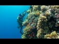 SCUBA Diving Egypt Red Sea Underwater Video HD