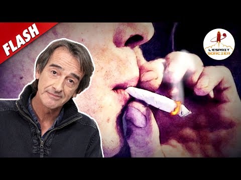 Les effets du cannabis expliqués en 6 min - Flash #12 - L'Esprit Sorcier
