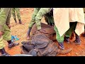 Rescue of Orphaned Elephant Natibu | Sheldrick Trust