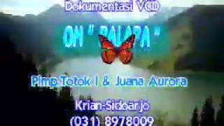 Download lagu Palapa lawas MENUNGGU mp3