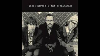 Jesse Harris &amp; The Ferdinandos - Don't Know Why