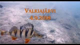 preview picture of video 'Scuba diving in Valkiajärvi, Finland 4.9.2018'