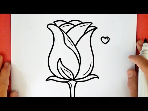 COMMENT DESSINER UNE ROSE