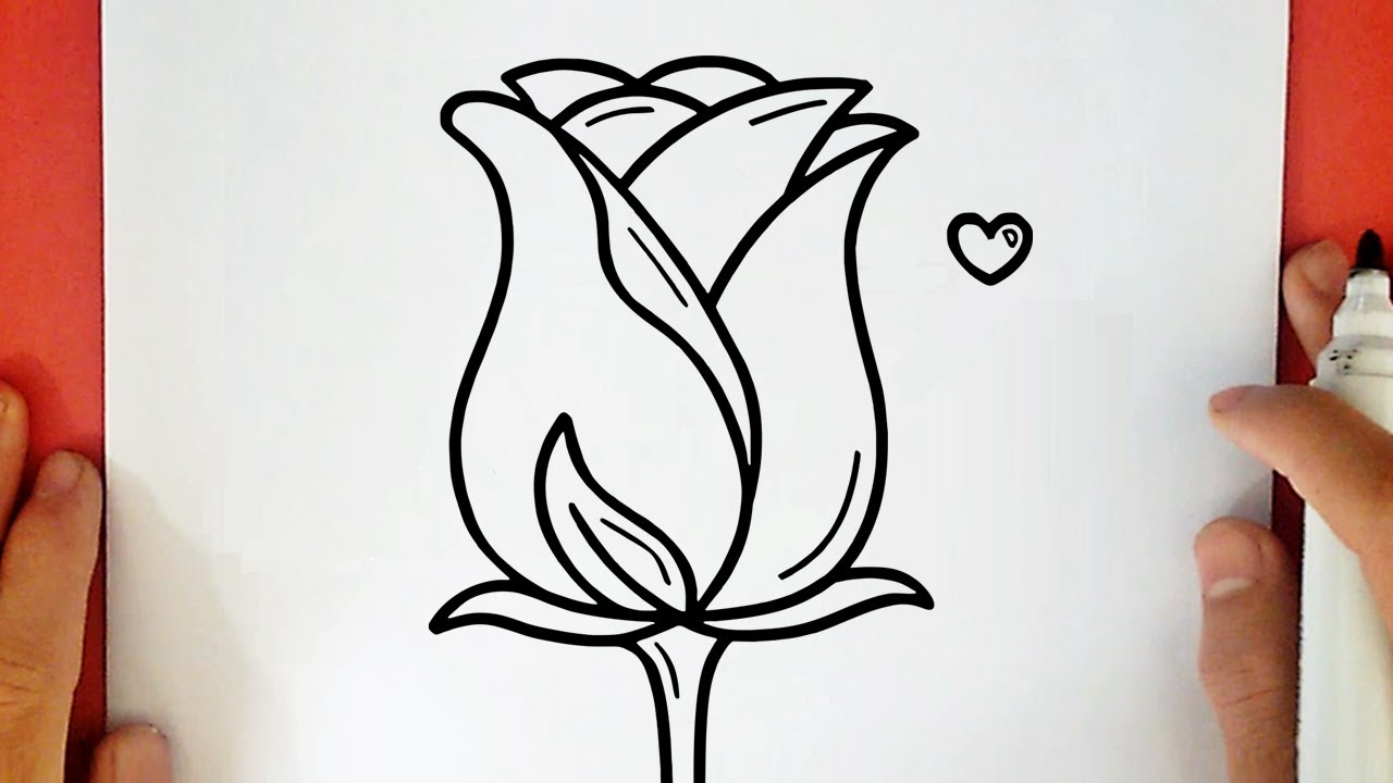 COMMENT DESSINER UNE ROSE