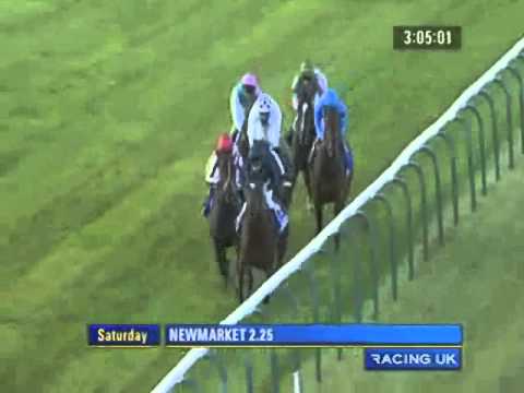 2010 Newmarket Dubai Dewhurst Stakes 