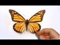 How to Illustrate a Realistic Butterfly That Will Flutter Off of The Paper