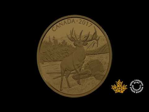 99.999% Pure Gold Coin - The Majestic Elk