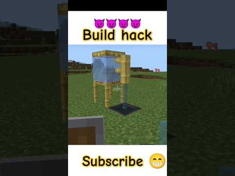 Minecraft's Ultimate Build Hack Unveiled! Don't Miss Out!