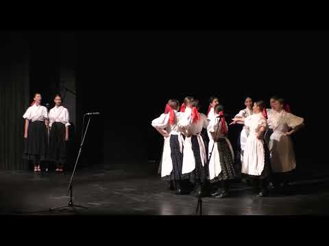 FS Gymnik - (Galaprogram DJGT)