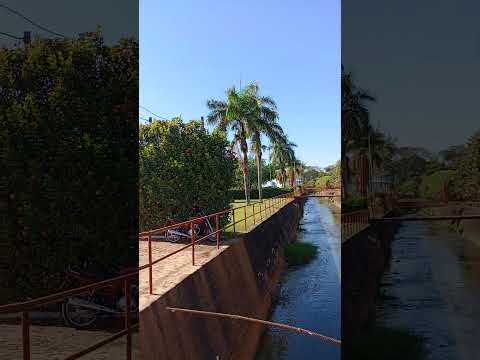 Construcción da Praça da Liberdade em cima do banhado com peixe, Ouro Preto do Oeste-RO! #shorts