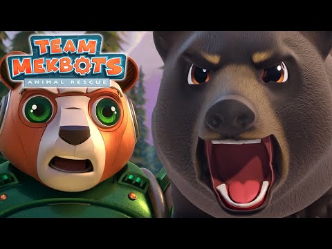 Care for a Cranky Bear | TEAM MEKBOTS ANIMAL RESCUE